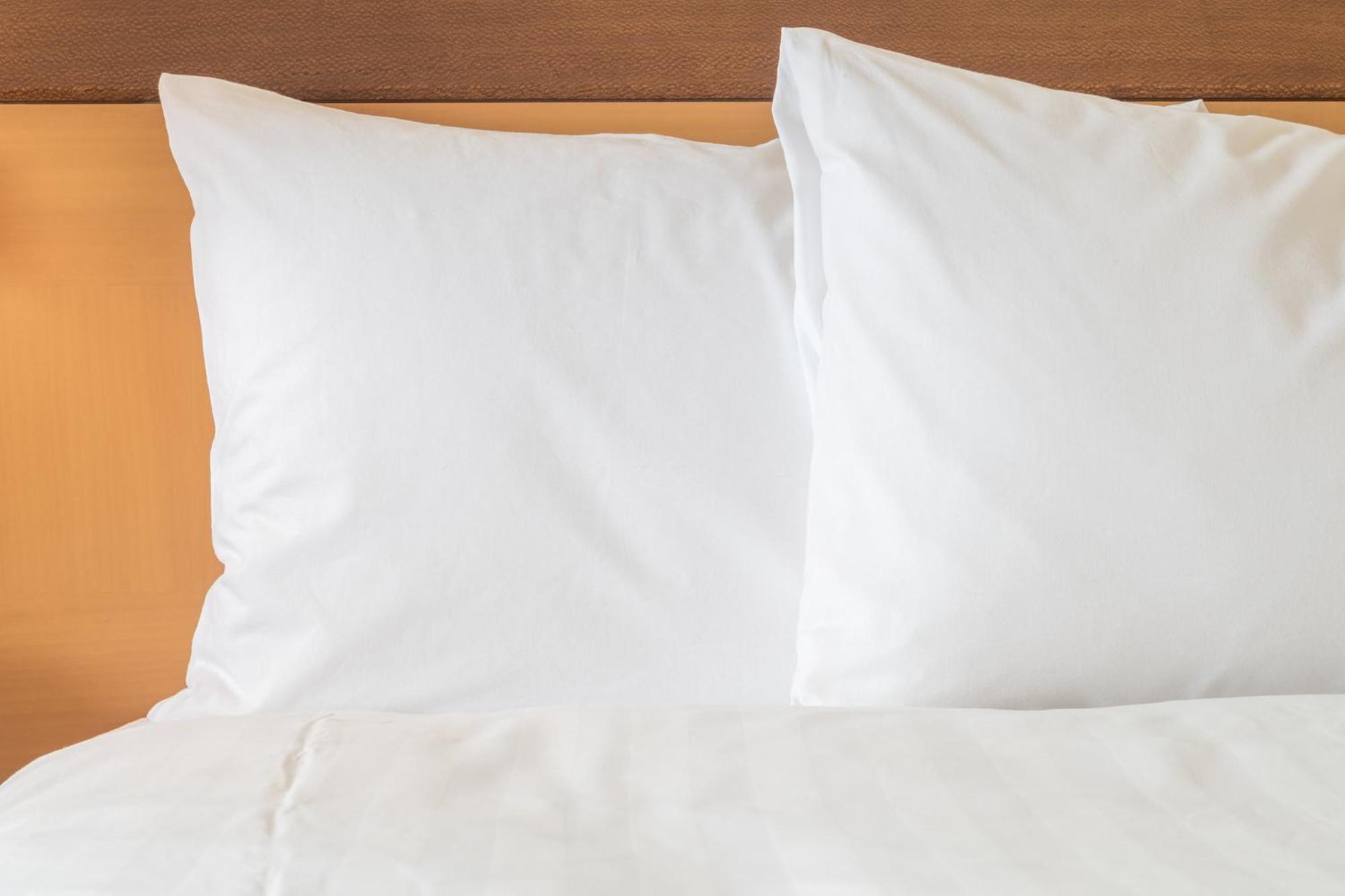 מלון Crowne Plaza San Antonio Airport By Ihg מראה חיצוני תמונה